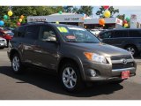 2010 Pyrite Metallic Toyota RAV4 Limited V6 4WD #84669329