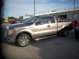 2012 Sterling Gray Metallic Ford F150 XLT SuperCab #84669122