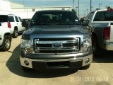 2013 Sterling Gray Metallic Ford F150 XLT SuperCab #84713506