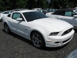 Performance White Ford Mustang in 2013