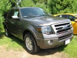 2013 Sterling Gray Ford Expedition Limited 4x4 #84713691