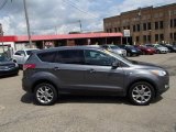 2013 Sterling Gray Metallic Ford Escape SEL 2.0L EcoBoost #84739286