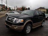 2013 Green Gem Ford Expedition XLT 4x4 #84739442