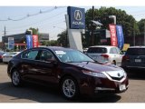 2010 Basque Red Pearl Acura TL 3.5 #84809583
