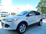 2014 Ford Escape Ingot Silver