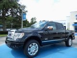 2013 Ford F150 Platinum SuperCrew 4x4