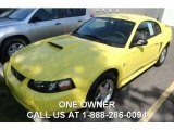 2003 Zinc Yellow Ford Mustang V6 Coupe #84859997