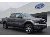 2013 Ford F150 FX4 SuperCrew 4x4 Front 3/4 View