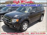 2009 Black Ford Escape XLT V6 4WD #84859603
