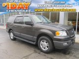 Dark Stone Metallic Ford Expedition in 2006