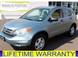 2010 Opal Sage Metallic Honda CR-V LX AWD #84986892