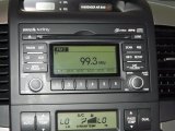 2010 Kia Sedona EX Audio System