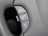 2010 Kia Sedona EX Controls