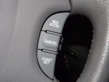 2010 Kia Sedona EX Controls