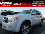 2010 White Suede Ford Escape XLT #84992094