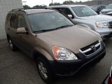 2004 Mojave Mist Metallic Honda CR-V EX 4WD #85024589