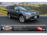 2013 Magnetic Gray Metallic Toyota Highlander Limited 4WD #85023902