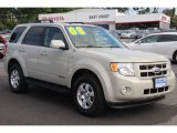 2008 Light Sage Metallic Ford Escape Limited 4WD #85024204