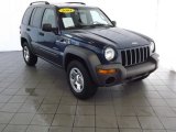 Patriot Blue Pearl Jeep Liberty in 2004