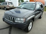 2004 Jeep Grand Cherokee Laredo 4x4 Front 3/4 View