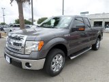 2013 Sterling Gray Metallic Ford F150 XLT SuperCab #85066399