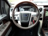 2010 Ford F150 Platinum SuperCrew Steering Wheel