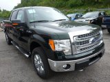 2013 Green Gem Metallic Ford F150 XLT SuperCrew 4x4 #85066549