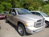 2002 Light Almond Pearl Dodge Ram 1500 ST Quad Cab 4x4 #85119915