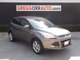 2013 Sterling Gray Metallic Ford Escape SEL 2.0L EcoBoost #85120113