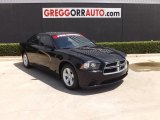 2013 Dodge Charger SE