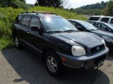 2002 Black Obsidian Hyundai Santa Fe GLS AWD #85184559