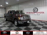 Royal Red Metallic Ford F150 in 2010