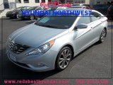 2013 Radiant Silver Hyundai Sonata Limited 2.0T #85230800