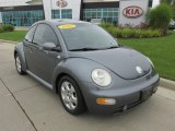 Platinum Grey Metallic Volkswagen New Beetle in 2003