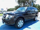 Tuxedo Black Ford Expedition in 2014