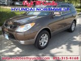 2012 Sahara Bronze Hyundai Veracruz GLS #85309788
