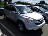 2010 Alabaster Silver Metallic Honda CR-V EX-L AWD #85310343