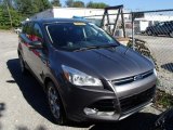 2013 Sterling Gray Metallic Ford Escape SEL 2.0L EcoBoost 4WD #85309721