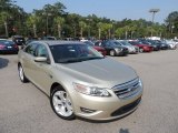 2010 Gold Leaf Metallic Ford Taurus SEL #85356475