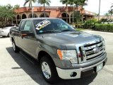 2011 Sterling Grey Metallic Ford F150 XLT SuperCab #85409892