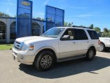 White Platinum Tri-Coat Metallic Ford Expedition in 2010