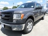 2013 Sterling Gray Metallic Ford F150 XL SuperCab #85409719