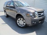 2014 Sterling Gray Ford Expedition Limited #85498980