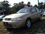 2002 Iced Cappuccino Nissan Sentra GXE #85499615