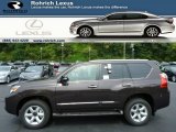 2013 Fire Agate Pearl Lexus GX 460 #85498918