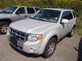 2008 Light Sage Metallic Ford Escape Limited 4WD #85498901