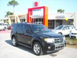 2008 Ford Escape Limited