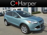 2013 Frosted Glass Metallic Ford Escape SEL 1.6L EcoBoost #85592224