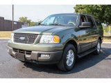 2005 Estate Green Metallic Ford Expedition XLT 4x4 #85592583