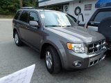 2012 Sterling Gray Metallic Ford Escape Limited 4WD #85592283